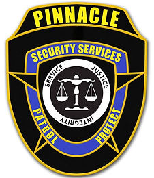 Executive Protection Services in Florida