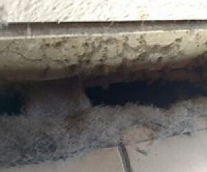 Air Duct Cleaning in Colorado Springs | Dryer Vent & HVAC