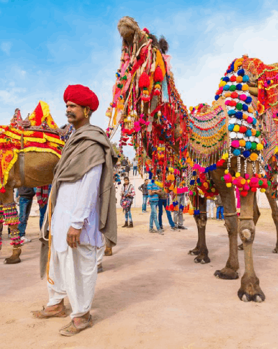 Pushkar Camel Fair 2024 | Rajasthan Tours India | Book Now!
