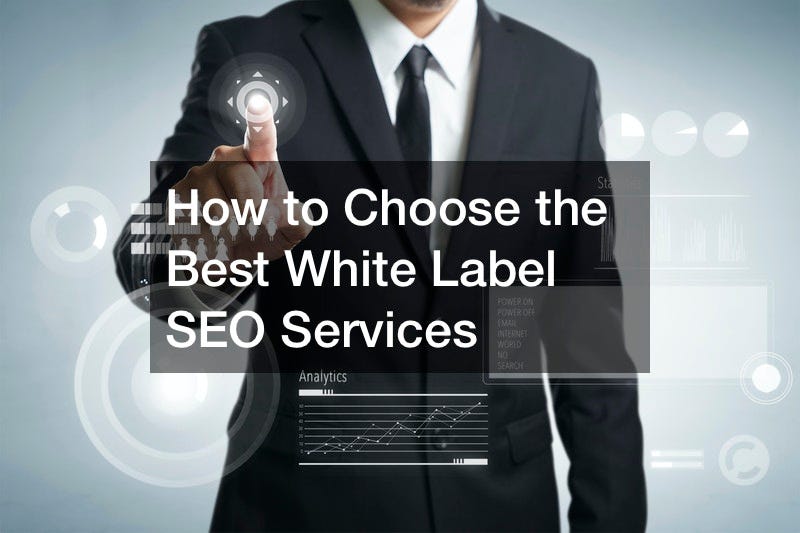 White Label SEO Services — How It Works | by Erik Amato | Jun, 2024 | Medium