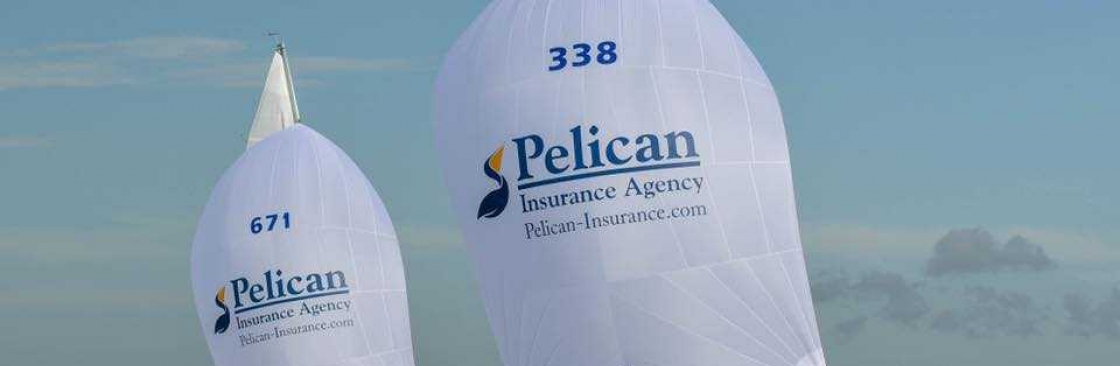 Pelican Insurance Cover Image