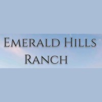 Horse Boarding Stables in Winters for Every Need by Emerald Hills Ranch