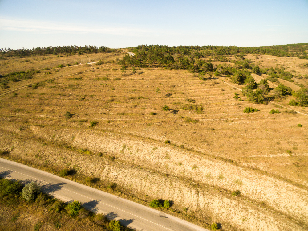 Investing in Land:Tips from a Texas Land Specialist in 2024