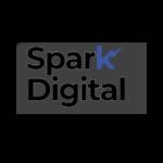 Spark digital Profile Picture