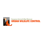 Comprehensive Squirrel Control In Mableton And Douglasville | by urbanwildlife01 | Jun, 2024 | Medium
