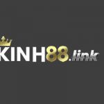 Kink88 Link Profile Picture