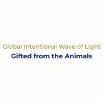 Global Intentional Wave of Light Profile Picture