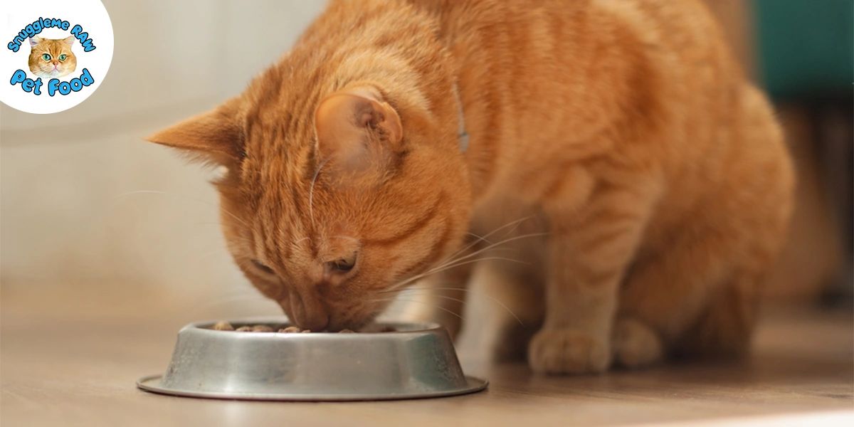 Best Freeze Dried Organic Meat for Cats in Indiana