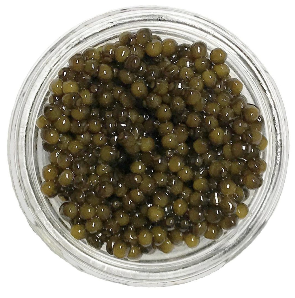American Paddlefish Caviar for Sale Find Quality and Flavor | TheAmberPost
