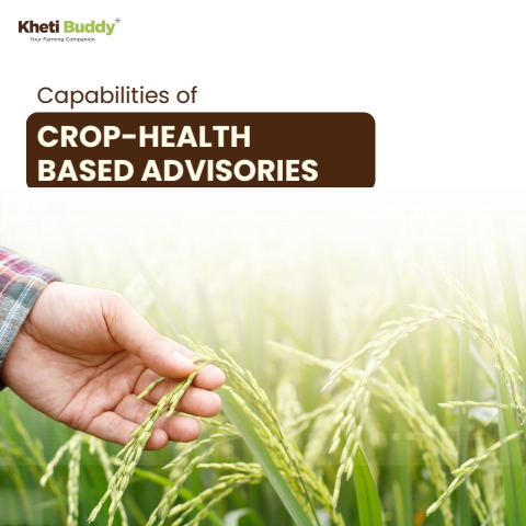 Capibilites of Crop Based Heatlh Advisors
