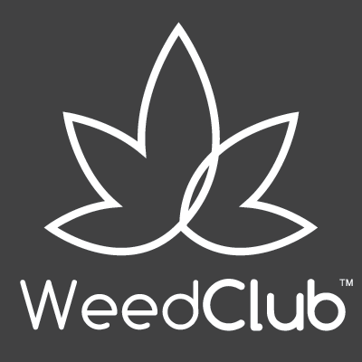 WeedClub | My Business Name | Smoke Shop Online: How To Choose The Best One