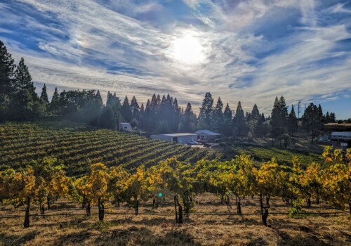 Exploring the Finest Fair Play Wineries A Wine Lover's Paradise | TheAmberPost