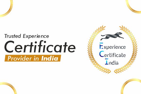 Trusted Experience Certificate Provider in India Cover Image