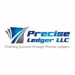 Precise Ledger LLC Profile Picture