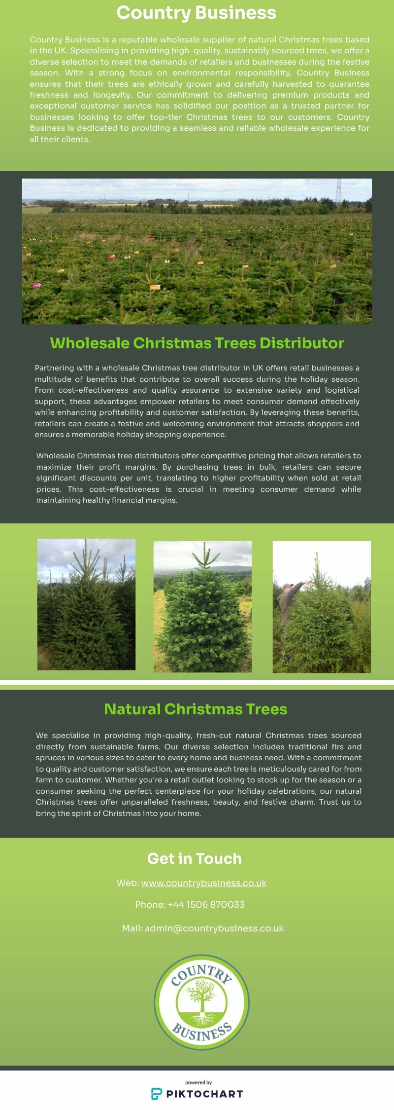 Bulk Benefits: Wholesale Christmas Trees for Retail Success | Piktochart Visual Editor