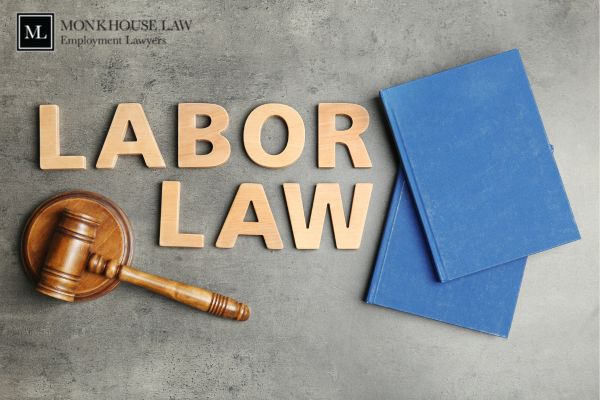 An Experienced Professional Labour Lawyer Toronto Can help you Get Justice | TheAmberPost