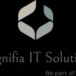magnifia solutions Profile Picture