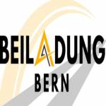 Beiladung Bern Fischer Profile Picture