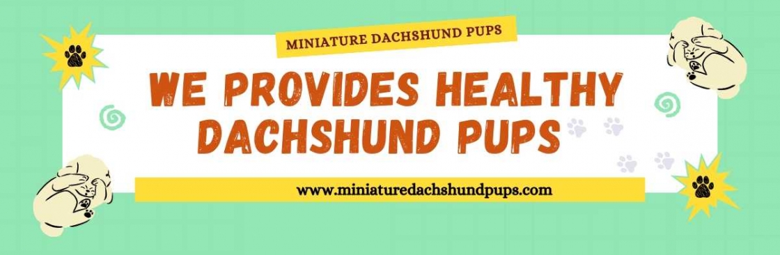 Miniature Dachshund Pups Cover Image