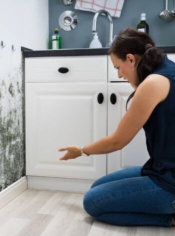 Recovering from Water Damage: The Role of Mold Inspection Services