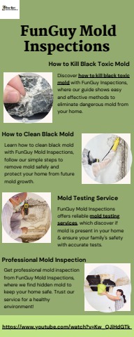How to Kill Black Toxic Mold