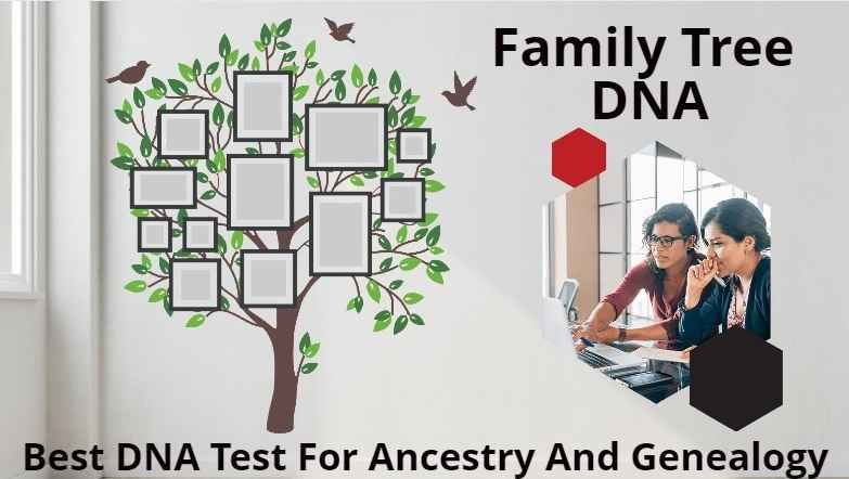 Family Tree DNA | Best DNA Testing For Ancestry & Genealogy