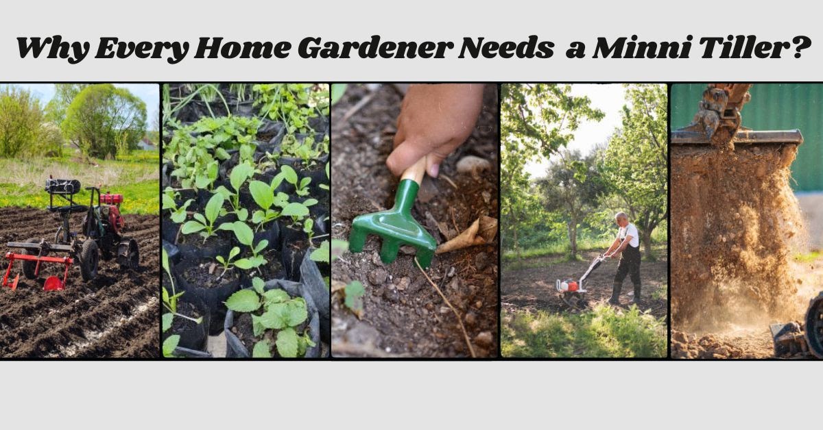 Agricultural Sprayer Manufacturer & Supplier - Chandak Agro Equipments: Why Every Home Gardener Needs a Mini Tiller?
