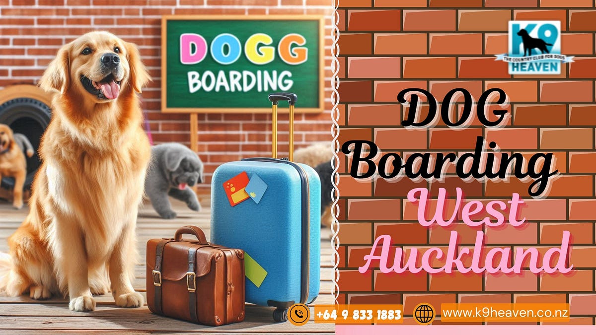 West Auckland Dog Boarding. When planning a vacation or a business… | by K9 Heaven | Jul, 2024 | Medium