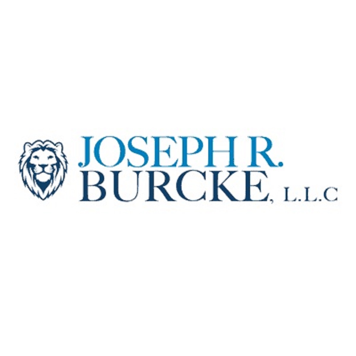 Joseph R Burcke LLC Cover Image