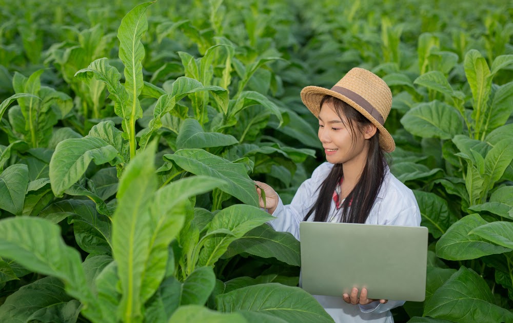 Modern Farming Embracing New Technology in Agriculture