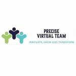 Precise Virtual Team Profile Picture