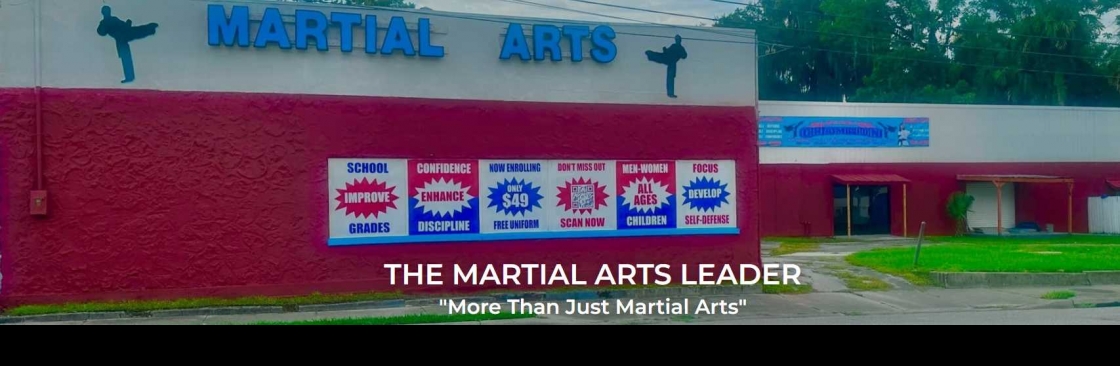 themartialarts leader Cover Image