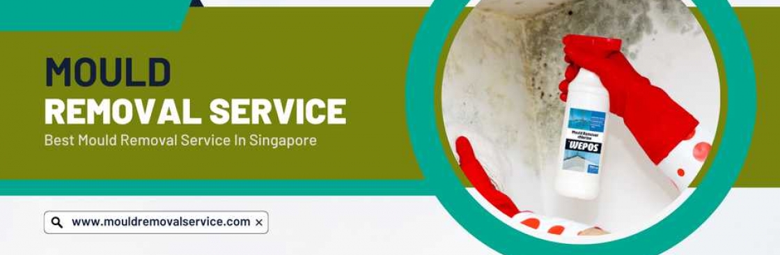 Mould Removal Service Cover Image