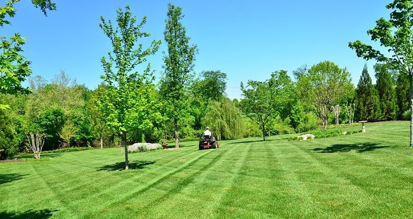 Professional Lawn Mowing Service in Wyoming, MI: Commercial Lawn Care Near Me