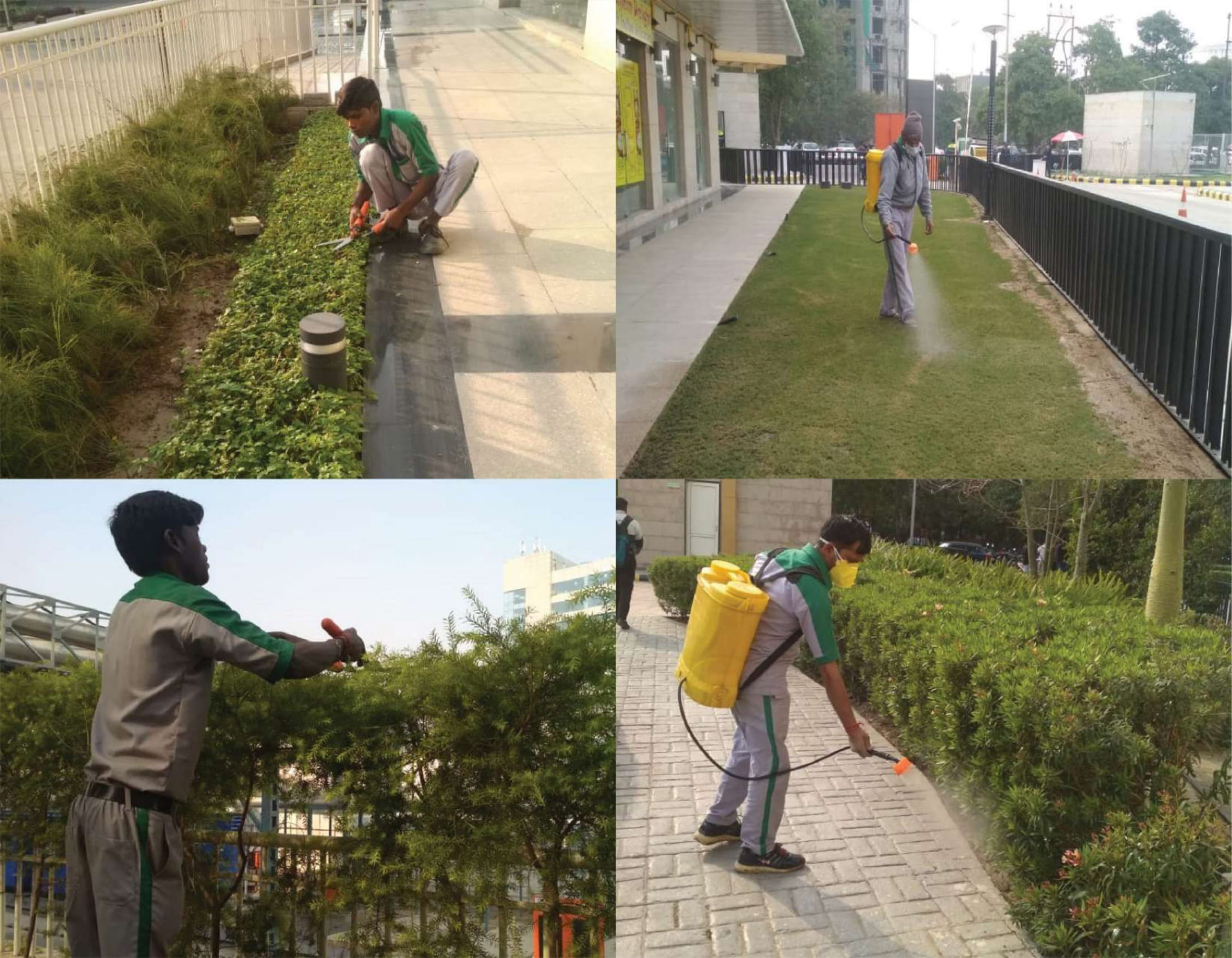 Premier Landscape Maintenance, Gardening, and Management Services - Greenstar