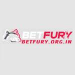 BetFury org in Profile Picture