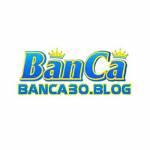 BANCA30 WEB CÁ CƯỢC GAME BẮN CÁ ĐỔI THƯỞNG Profile Picture
