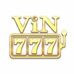 Vin777 Diy Profile Picture