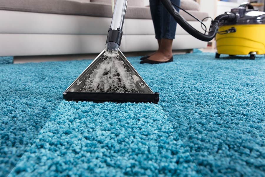 The Importance of Deep Carpet Cleaning for Florida Residents | by PJSCleaning | Jul, 2024 | Medium