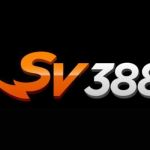 SV388 pe Profile Picture