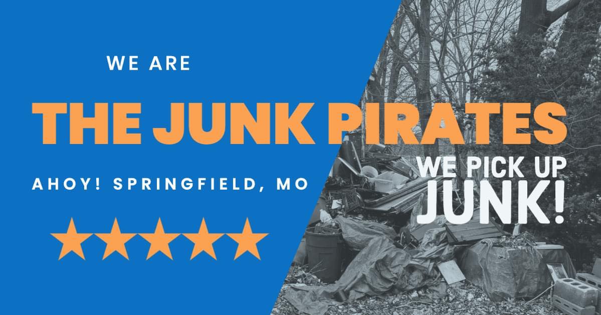 The Junk Pirates Cover Image