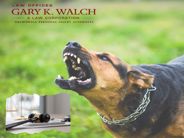 Beverly Hills Dog Bite Lawyer| Walch Law Corporation