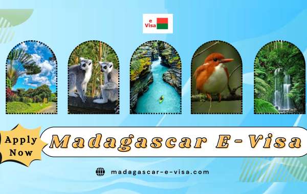 Exploring Madagascar: How to Get Your e-Visa Without Hassles