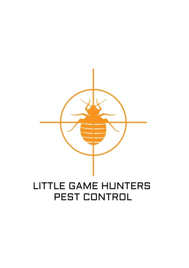 Little Game Hunters