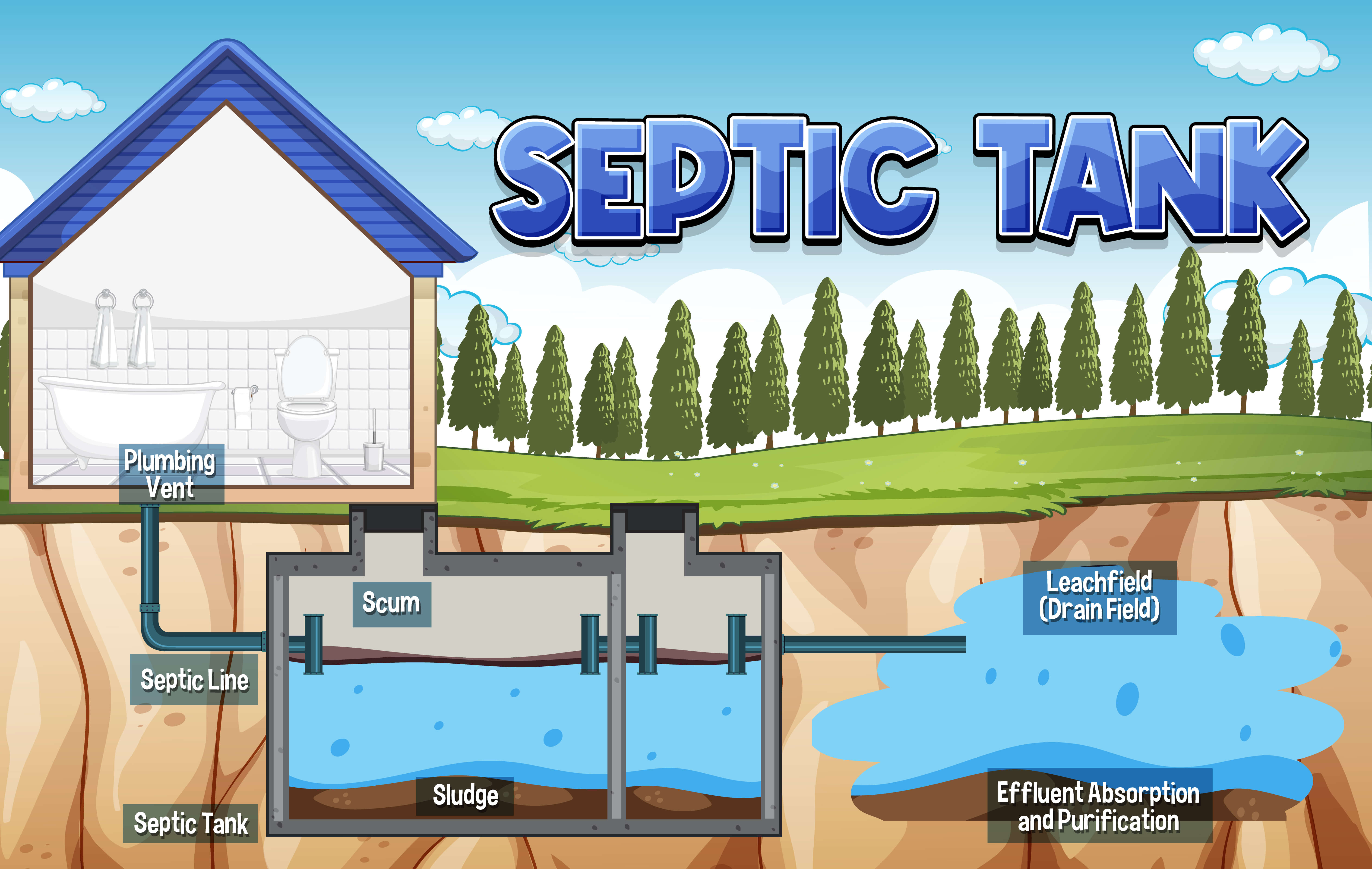Maintaining a healthy septic system (11 Healthy Tips)