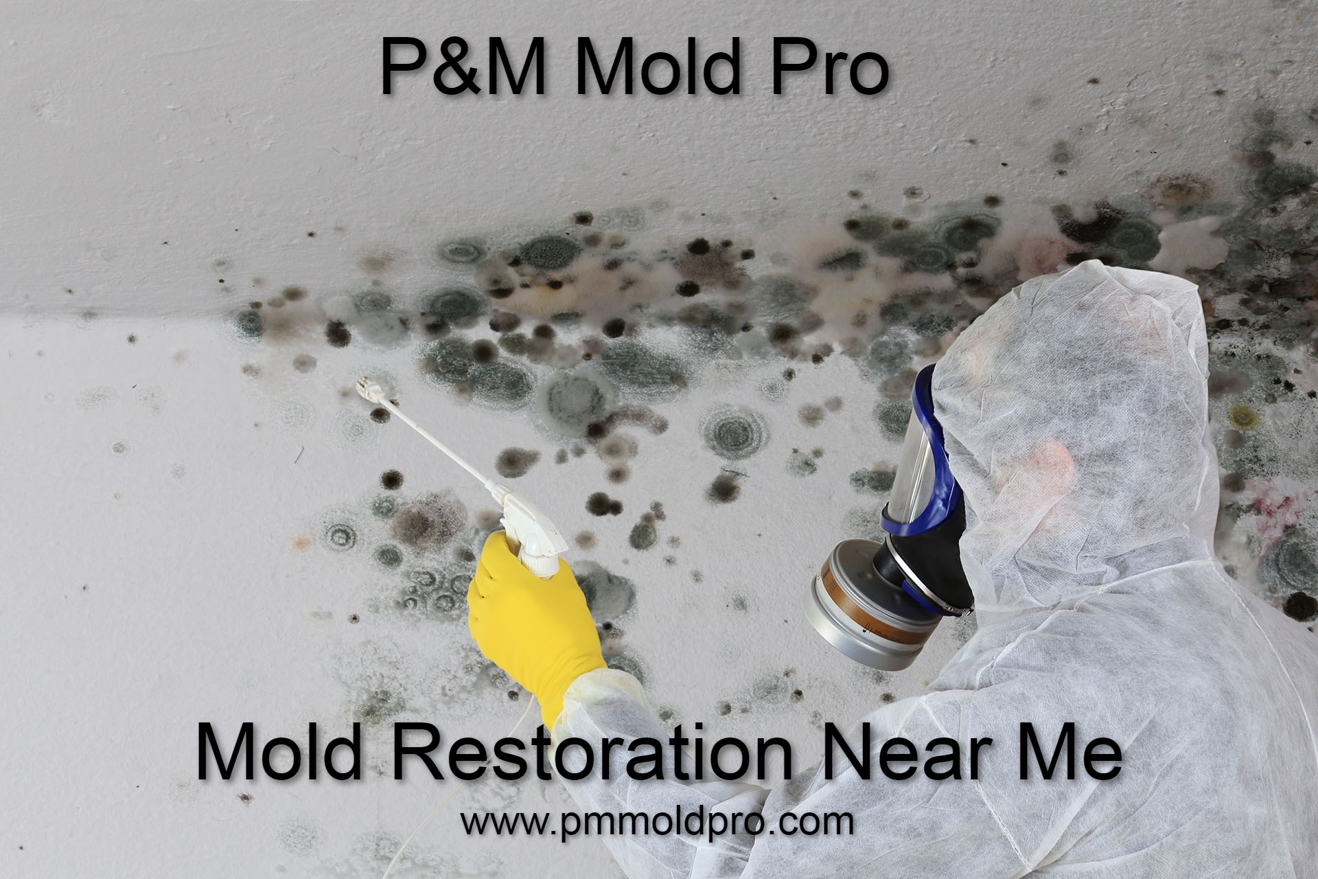 The Complete Mold Restoration Process: What to Expect When You Hire Professionals Near Me - P&M Mold Pro