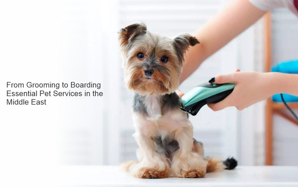 Comprehensive Pet Services in the Middle East: Grooming to Boarding