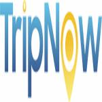 tripnow vn profile picture