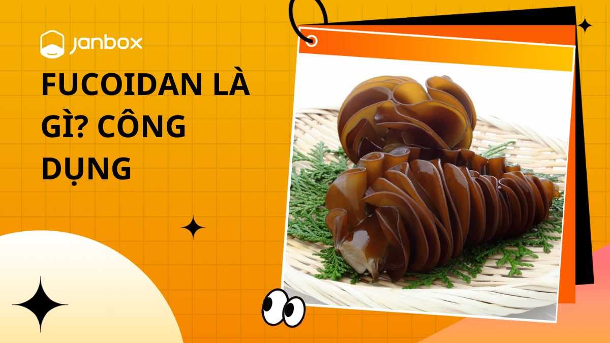 Fucoidan Là Gì? Fucoidan Có Tác Dụng Gì?