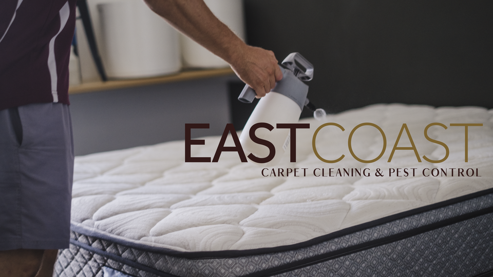 East Coast Carpet Cleaning and Pest Control Cover Image